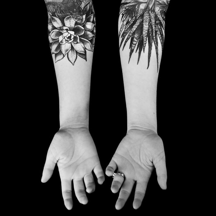 Succulent tattoo designs