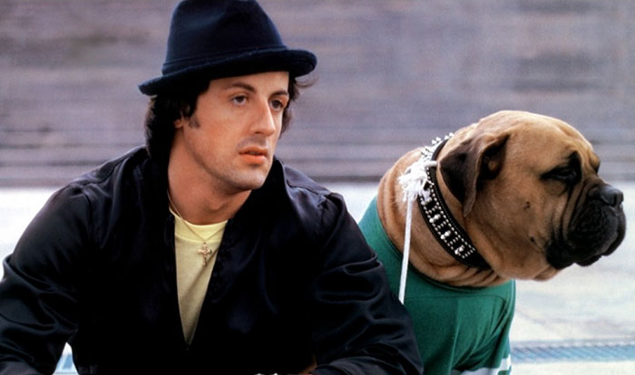 Sylvester Stallone Just Shared A Tribute To His Old Dog, And It’s Absolutely Beautiful