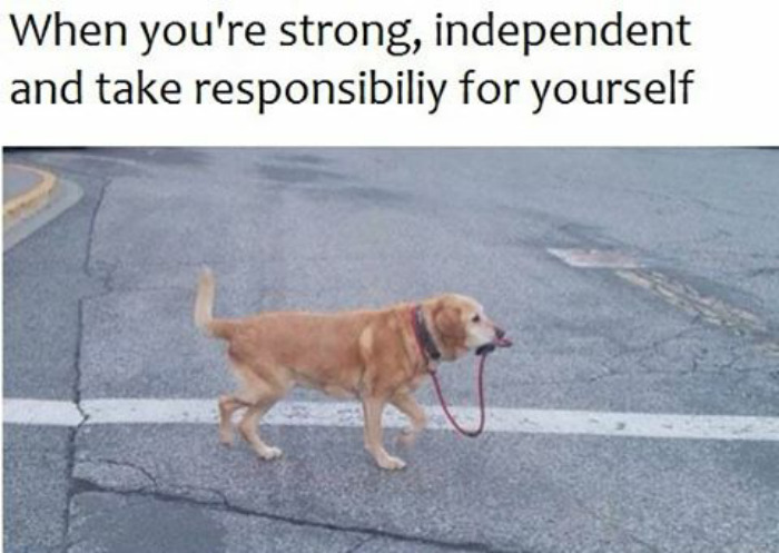 Independent Doggo