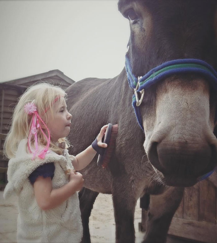 Completely Mute Girl Surprises Everyone When She Tells Her Therapy Donkey These Magical Words