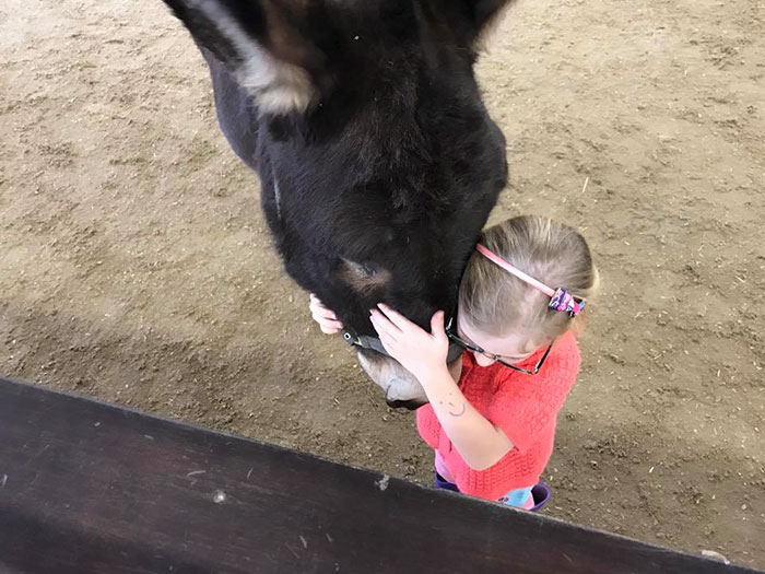 Completely Mute Girl Surprises Everyone When She Tells Her Therapy Donkey These Magical Words