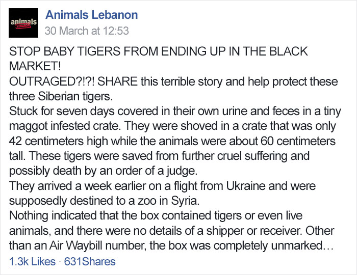 Mysterious Box Sat At The Airport For 7 Days Until Someone Finally Helped The Animals Trapped Inside (UPDATED)