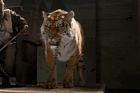 walking dead tiger man seven season shiva 15 - Veja como foi filmado esta cena do Tigre em The Walking Dead