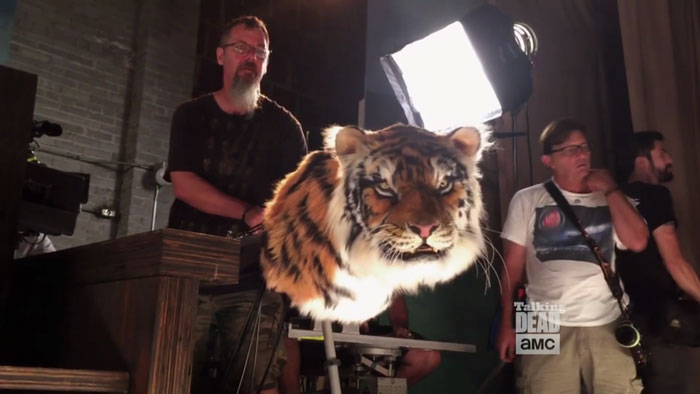 walking dead tiger man seven season shiva 6 - Veja como foi filmado esta cena do Tigre em The Walking Dead