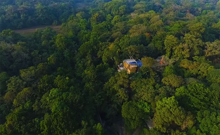 Couple Spends 26 Years Replanting A Rainforest They Bought In 1991, And Here's How It Looks Today