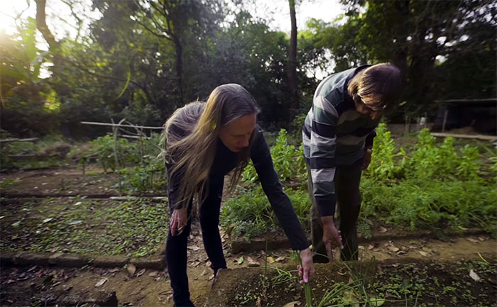 Couple Spends 26 Years Replanting A Rainforest They Bought In 1991, And Here's How It Looks Today