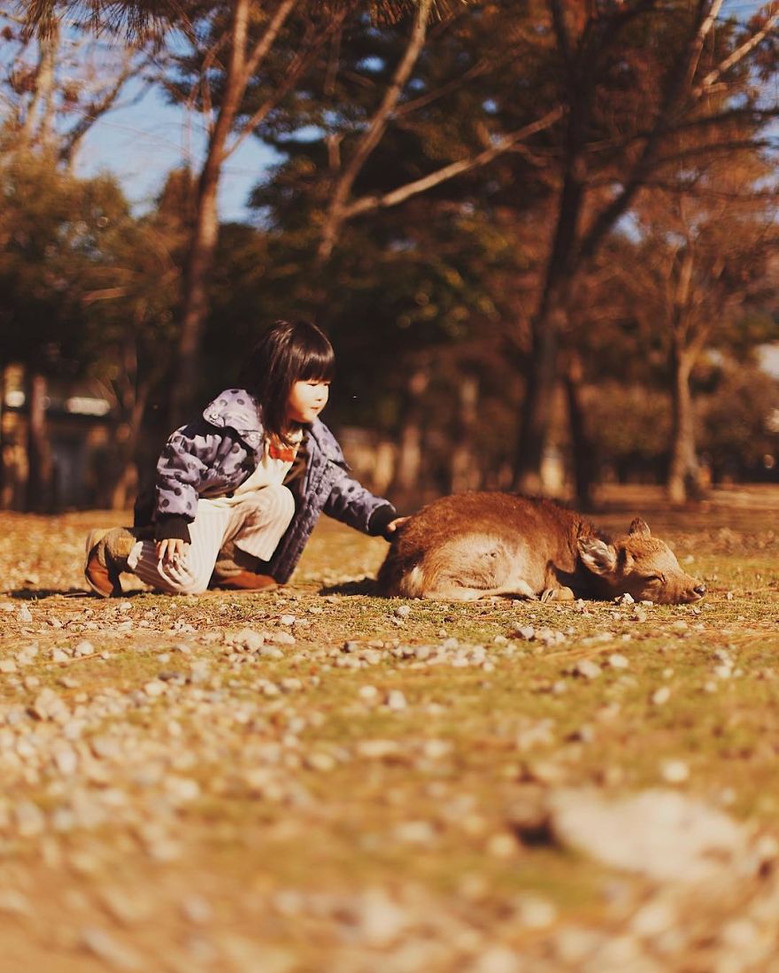Beautiful Life In Nara, Japan