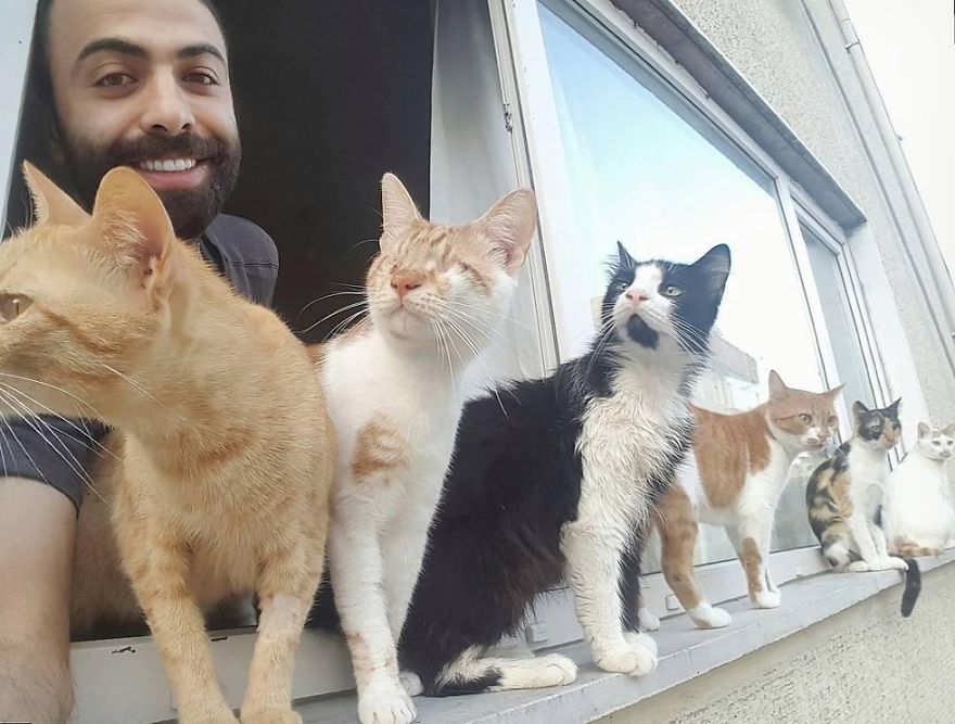 Pianist Saves Injured Cats From Streets And They Become His Most Loyal Audience