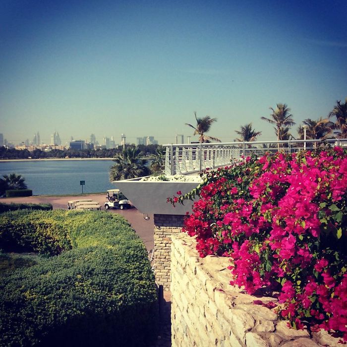 20 Photos You Won't Believe I Took In Dubai