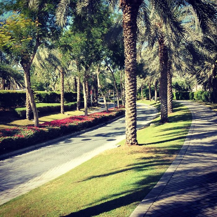 20 Photos You Won't Believe I Took In Dubai