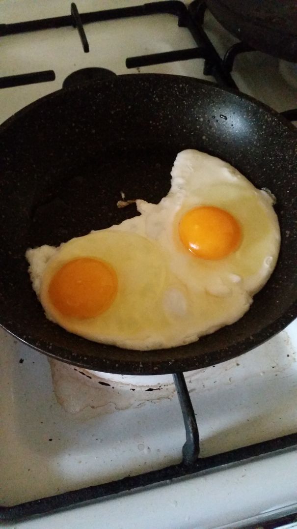 I Craked My Eggs And Look At Them They Like An Owl