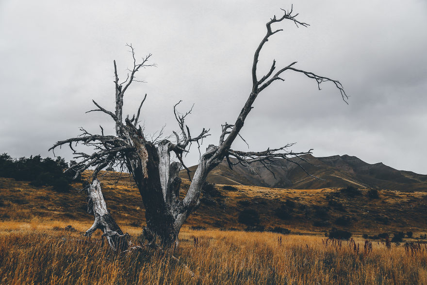 I Fell In Love With Photography While In Chile