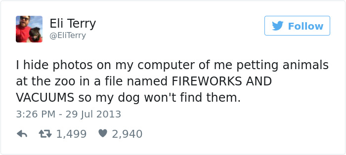 Dog Tweets