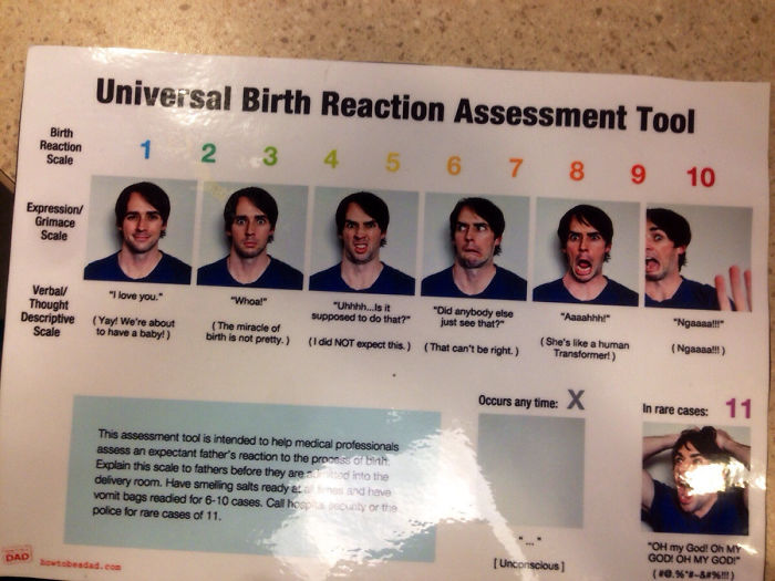 My Gf Works In An Ob-Gyn Clinic. She Found This Amazing Little Picture Chart
