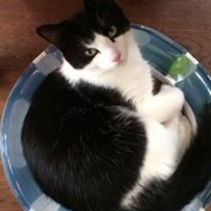 lauren-j-carter avatar