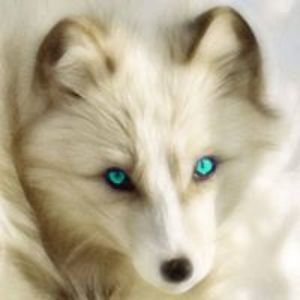 vulpesfidelis avatar