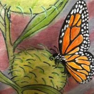 berrybrightblue avatar