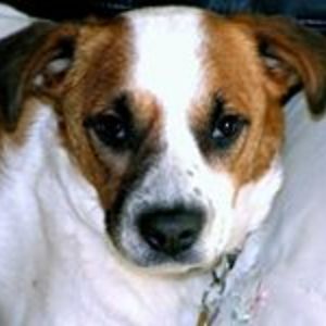 glenvilleturnbull avatar