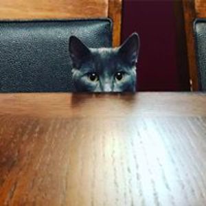 sarahwillis1813 avatar