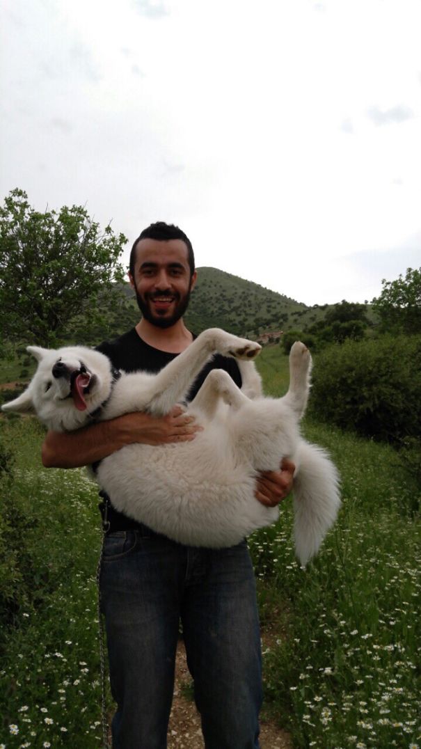 He Was Scared To Climb Down The Mountain Or Maybe He Just Wanted To Be Carried Like That