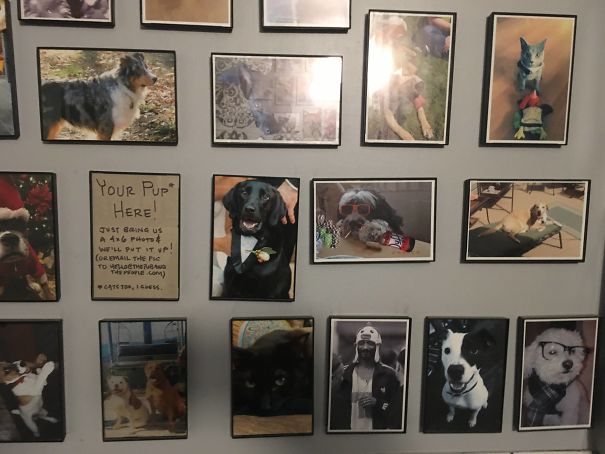 Local Pub Lets People Put Pics Of Their Dogs On The Bathroom Wall. One Of These Things Is Not Like The Other