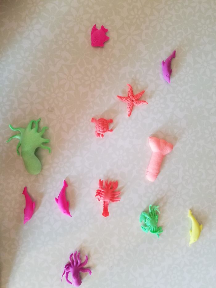 My Son Got These Toys That Grow In The Water For Christmas. One Of Them Is Not Like The Others