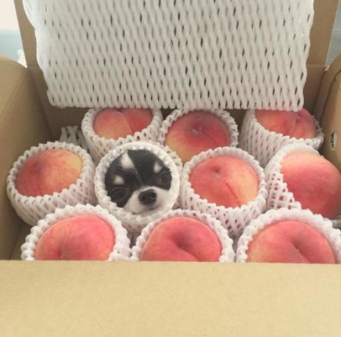 One Of These Is Not Like The Others