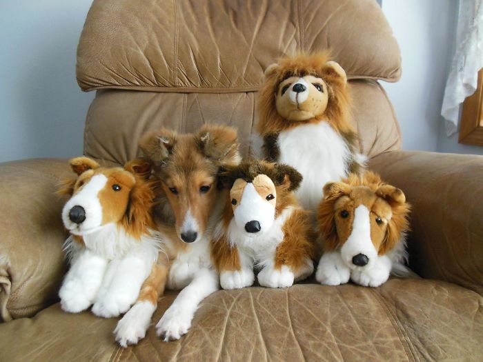 One Of These Things Is Not Like The Other