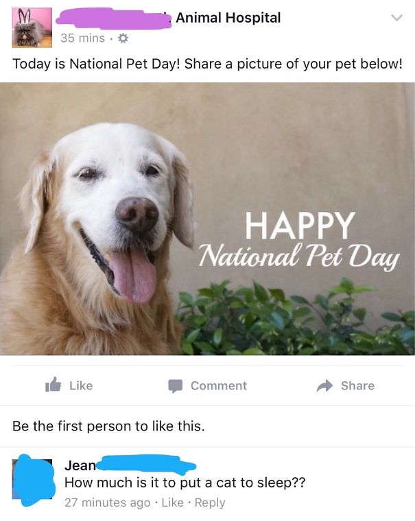 How Jean Celebrates National Pet Day