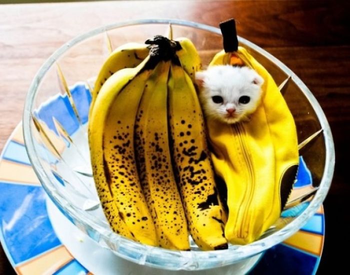 Day 2: They Have Accepted Me Into Their Bunch