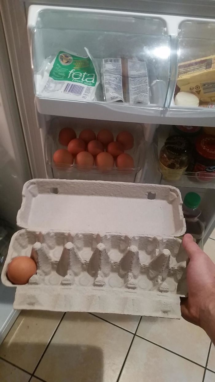 Seriously... Eleven Eggs?