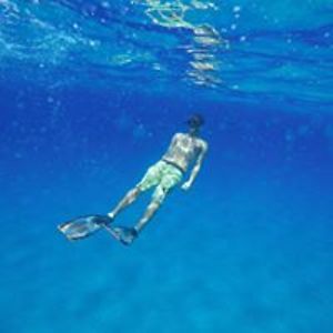 margetis_pan