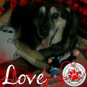 wyldfyregypsie avatar