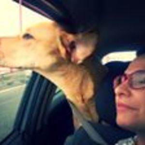 silvia_alegriajesus avatar