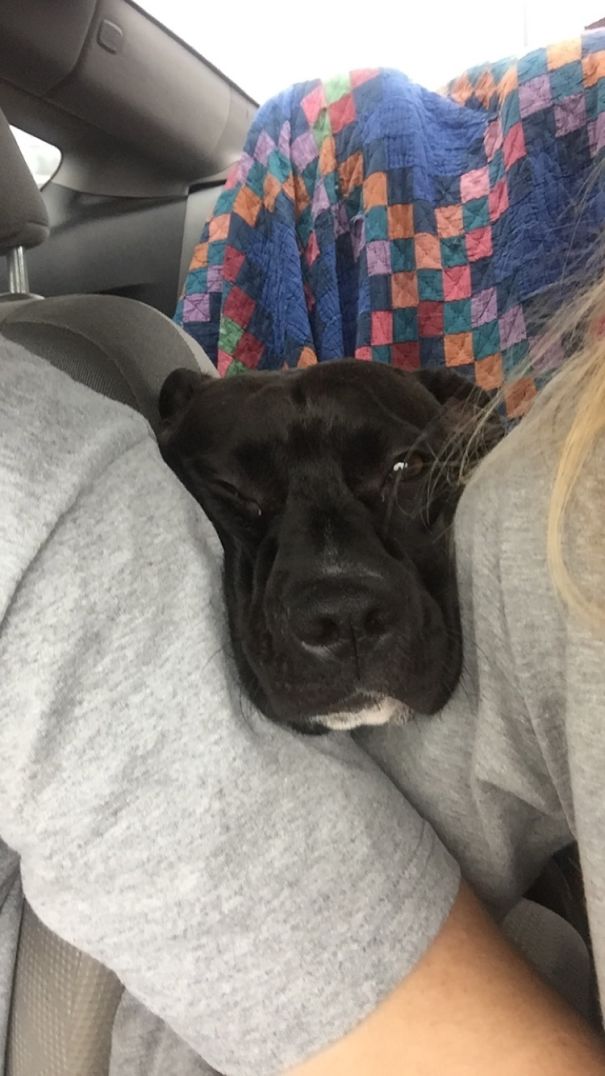 TFW You're Not Allowed To Sit Up Front