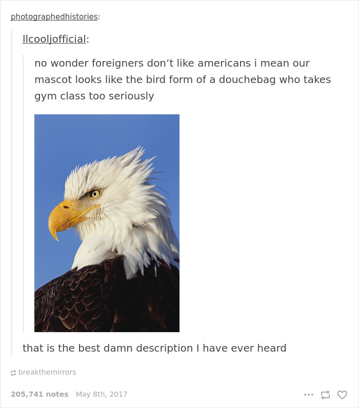 Mocking Americans Stereotypes