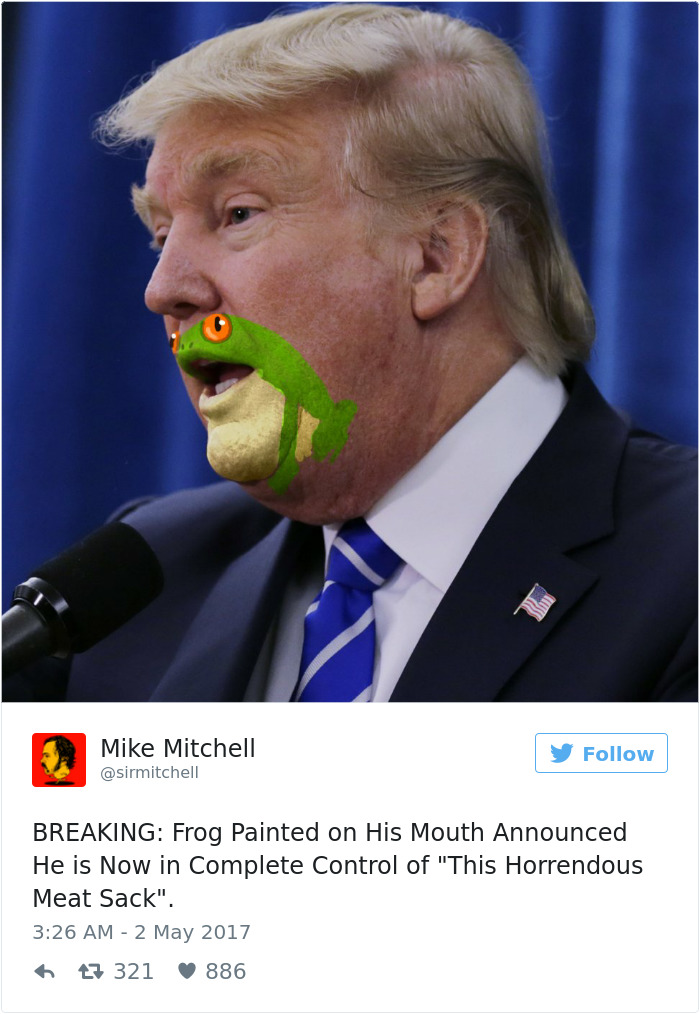 Donald Trump Frog