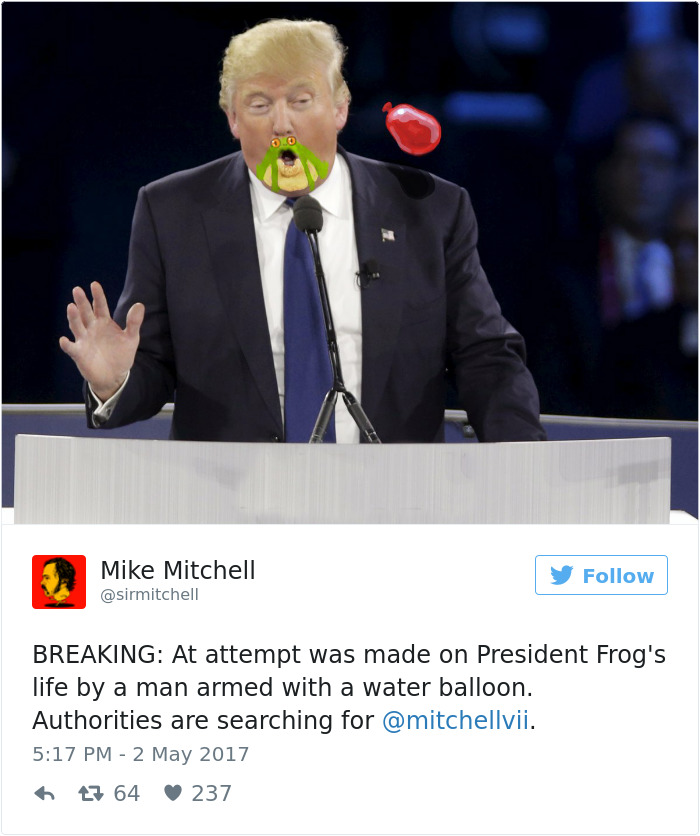 Donald Trump Frog