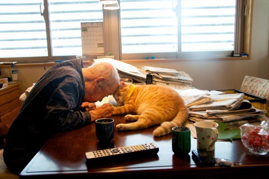 "I Got A Cat For My Sick And Grumpy Grandpa, And He Turned His Life Around" "I Got A Cat For My Sick And Grumpy Grandpa, And He Turned His Life Around"