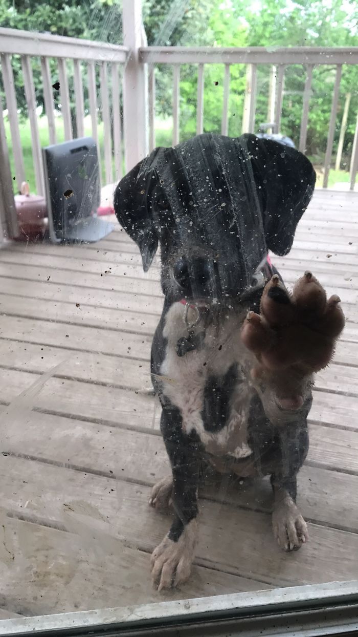 She Didn't Understand Why She Had To Be Outside
