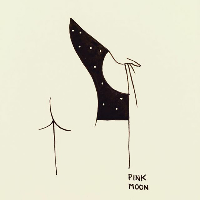 Nick Drake's Pink Moon