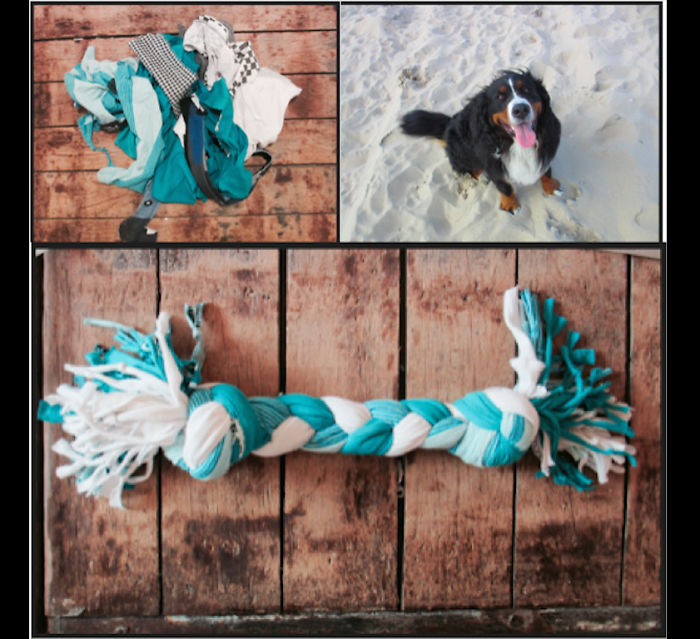 Since Our Dog Shreds All The Store-bought Toys We Give Her, We Decided To Make Them From Old T-shirt Rags Instead. That's One Happy Ol' Pupper!