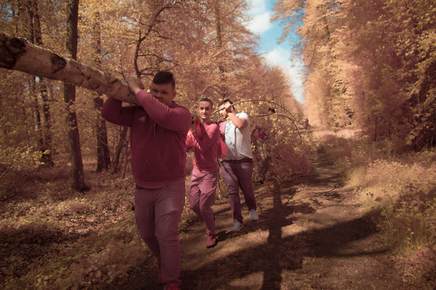Infrared May Tree Celebration Infrared May Tree Celebration
