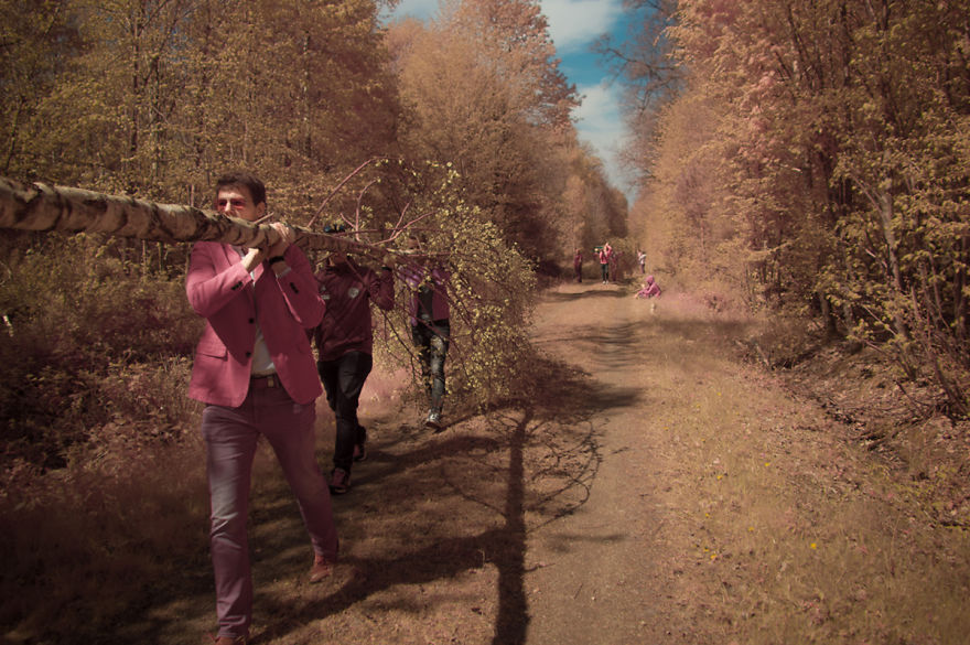 Infrared May Tree Celebration Infrared May Tree Celebration