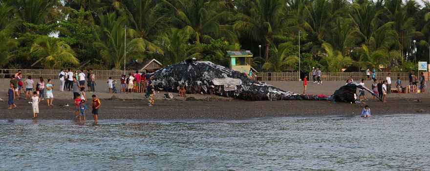 “Dead Whale” Of The Philippines Reminds Us That Ocean Pollution Is Getting Out Of Control