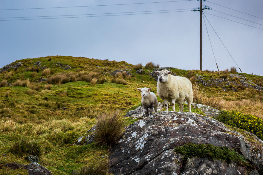 Driving The Wild Atlantic Way In Ireland Felt Like Checking An Important Bucket-list-item