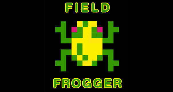 Frogger-592e02ad04b63.jpg