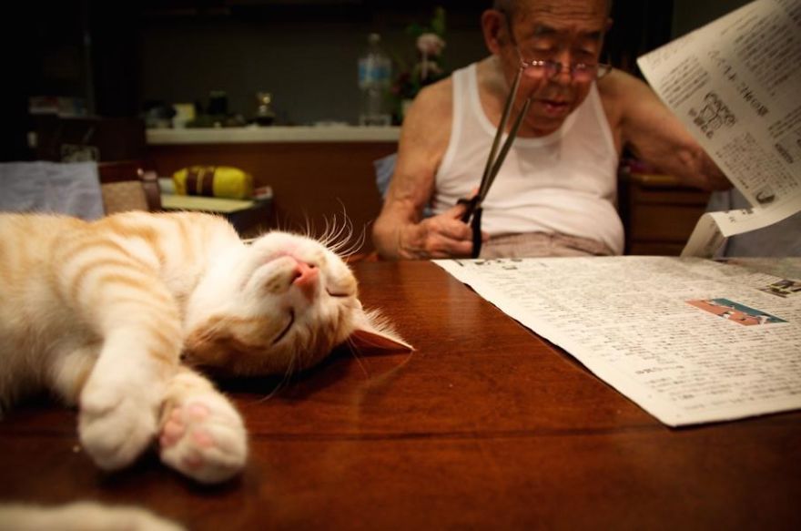 "I Got A Cat For My Sick And Grumpy Grandpa, And He Turned His Life Around" "I Got A Cat For My Sick And Grumpy Grandpa, And He Turned His Life Around"