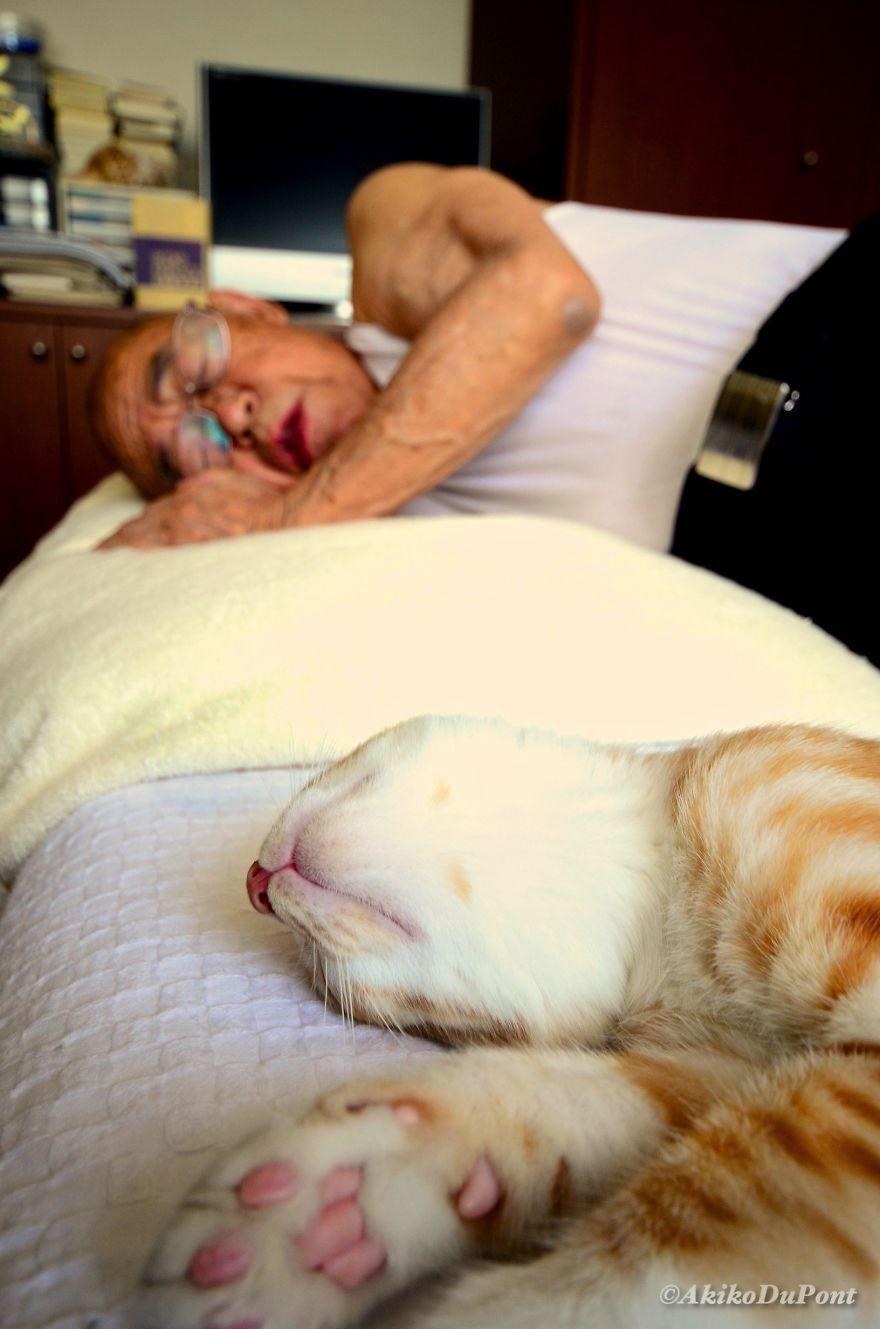 "I Got A Cat For My Sick And Grumpy Grandpa, And He Turned His Life Around" "I Got A Cat For My Sick And Grumpy Grandpa, And He Turned His Life Around"