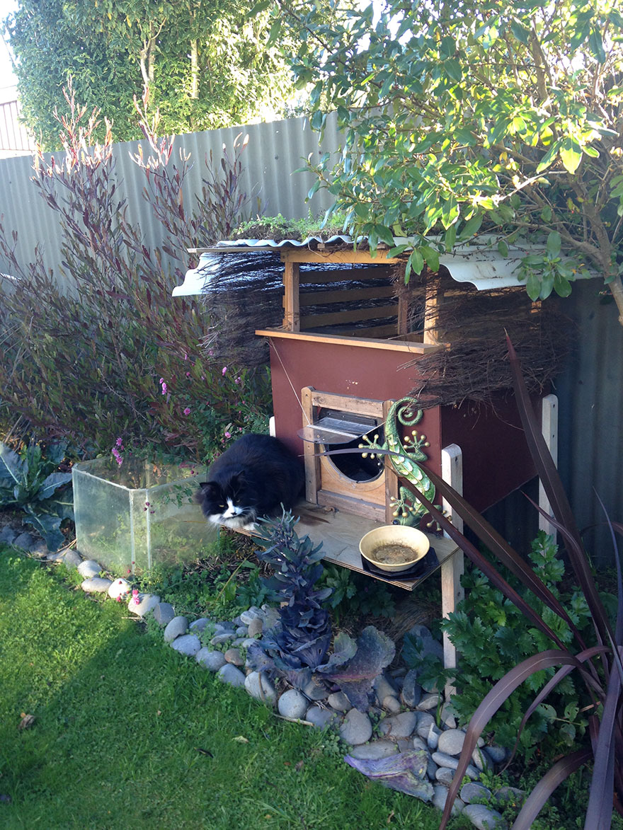 I Created An Outdoor Cat House